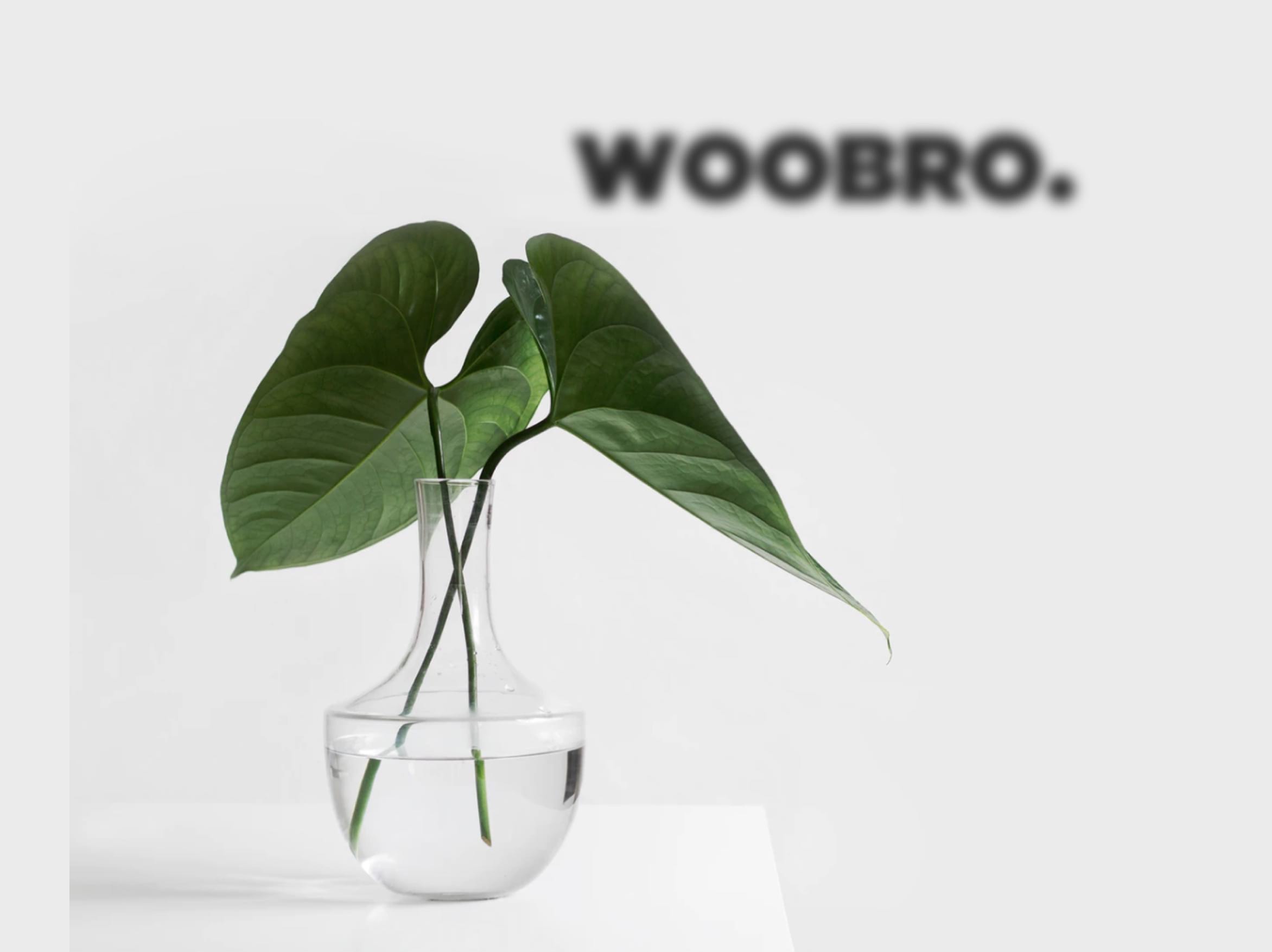 WordPress Hosting - WOOBRO